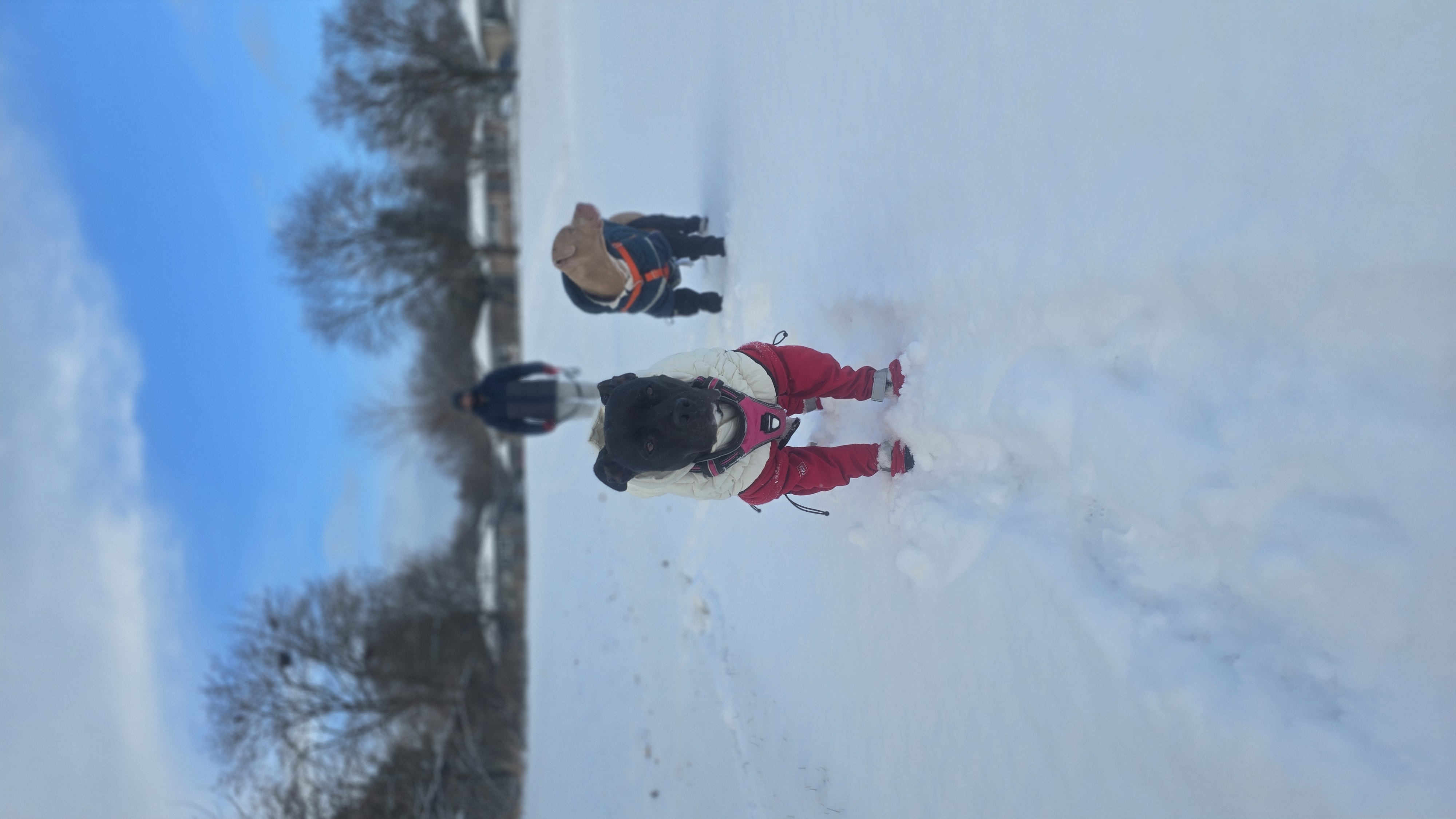 The weight of carrying everything alone